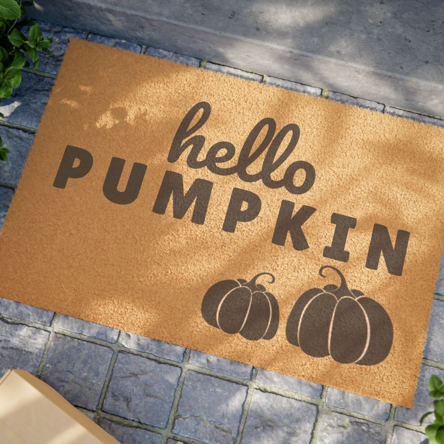 Hello Pumpkin Doormat (Coir)