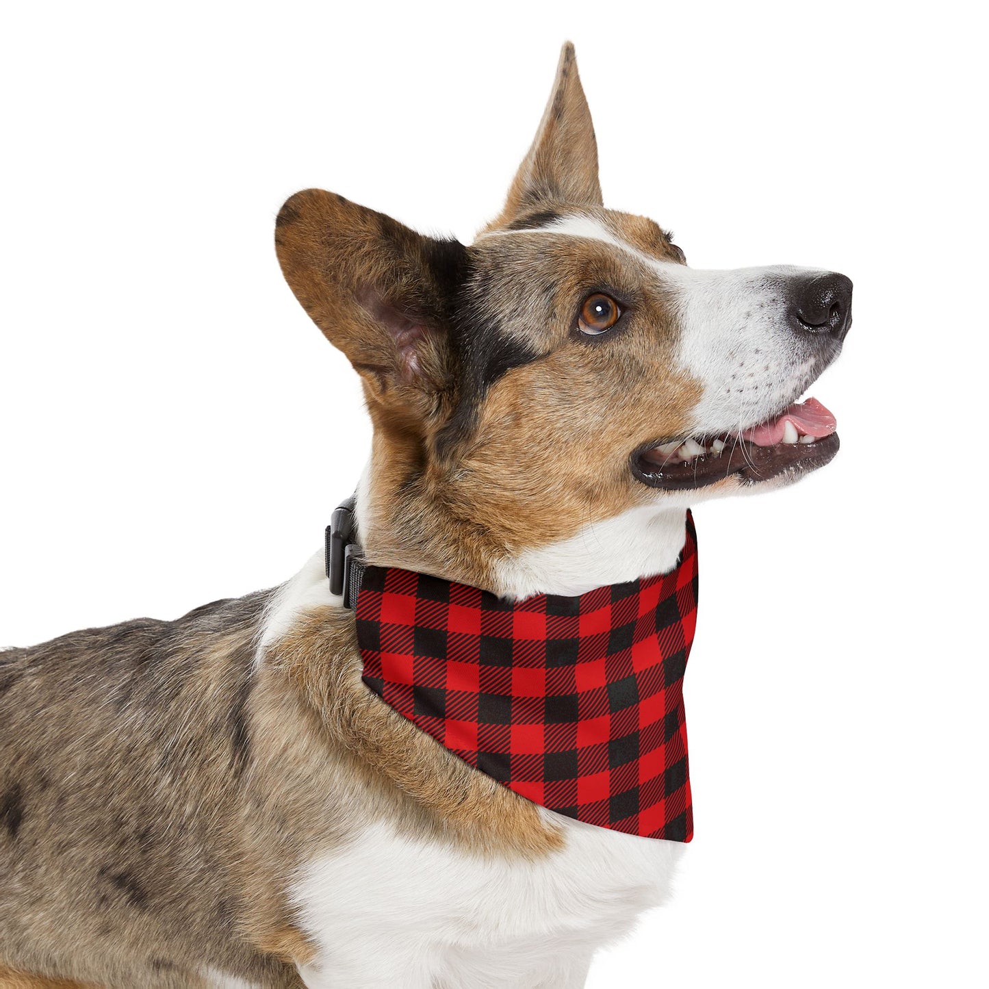 Plaid Pet Bandana Collar