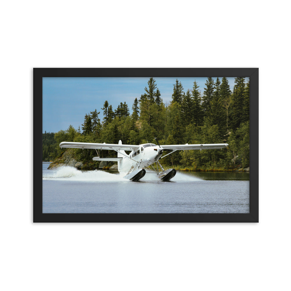 Framed Otter Landing