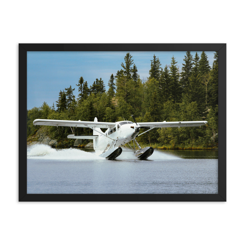 Framed Otter Landing