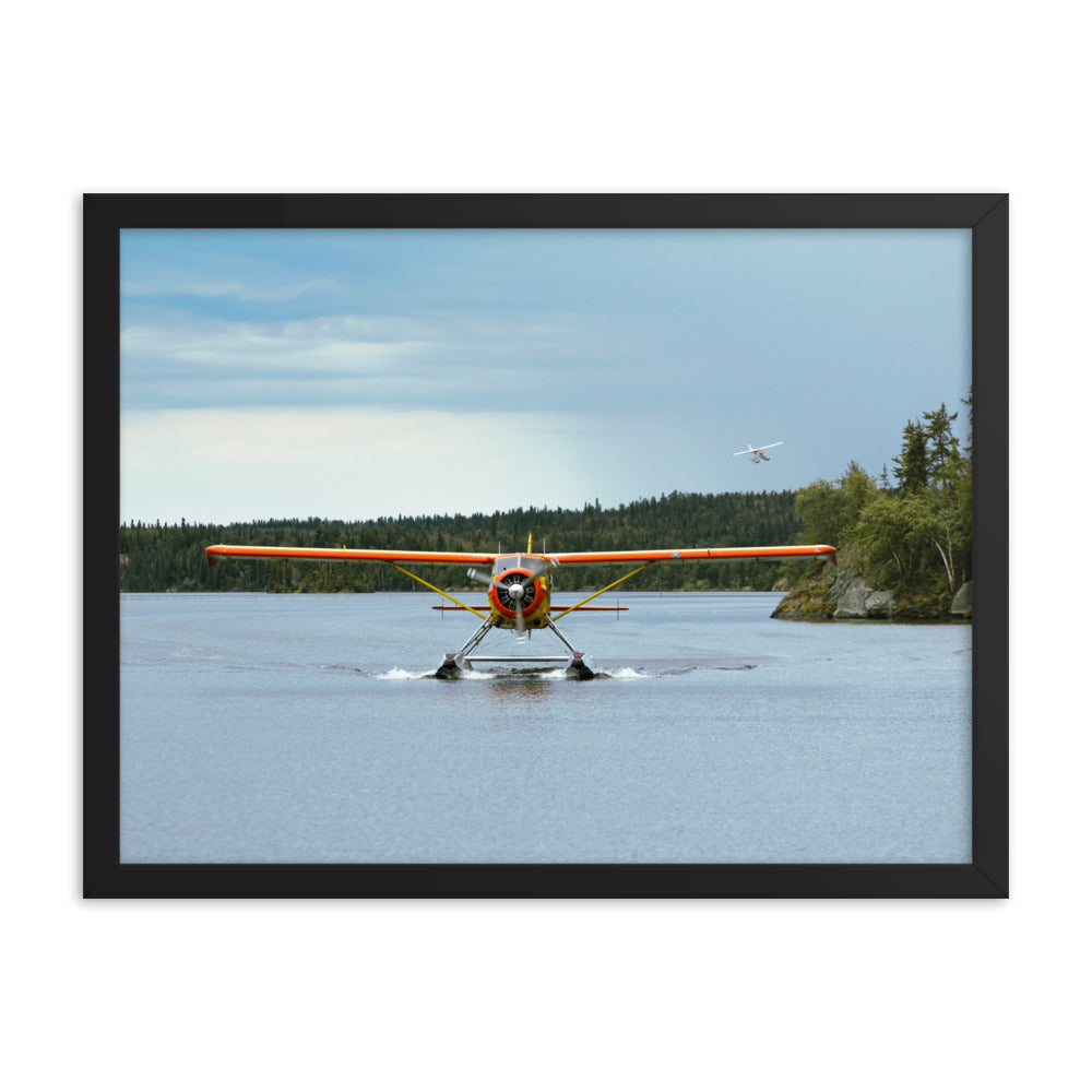 Framed Beaver Landing