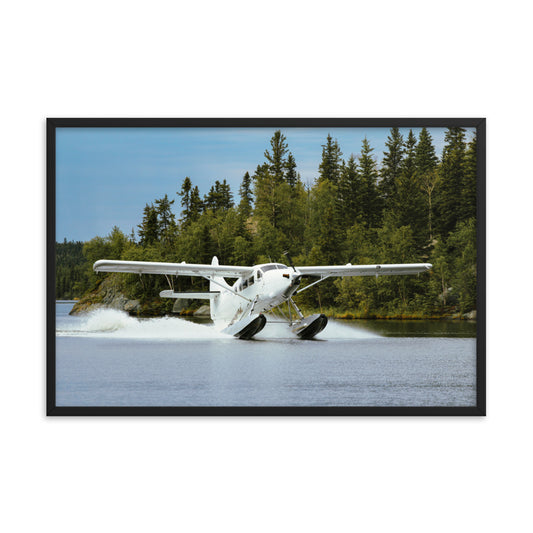 Framed Otter Landing