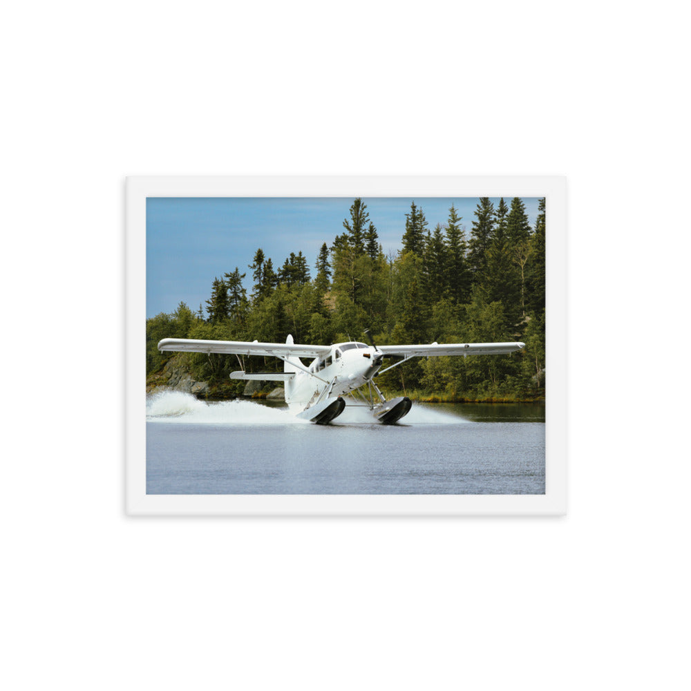 Framed Otter Landing