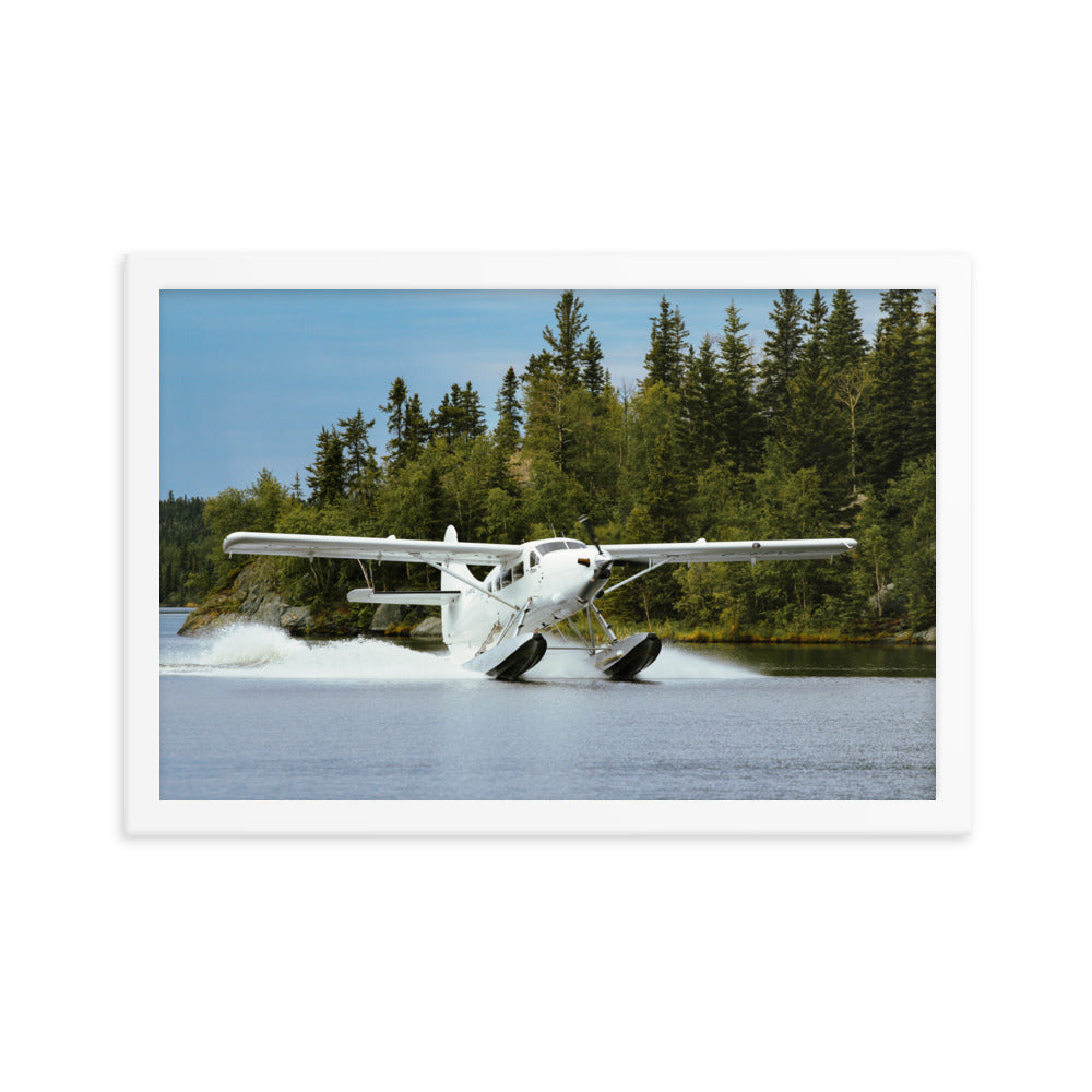 Framed Otter Landing